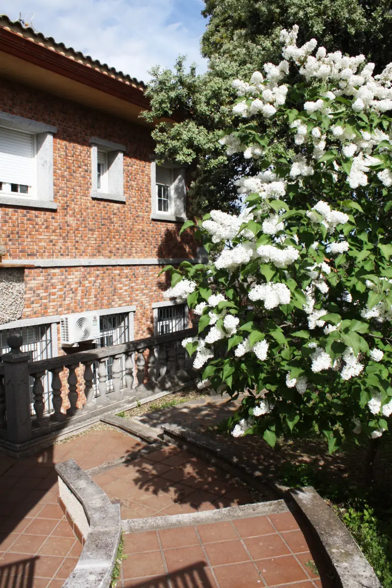 Lateral de la casa con flores